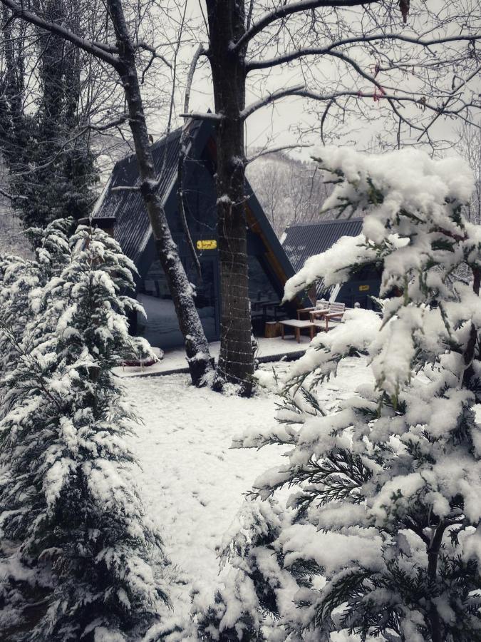 Loca Sapanca Bungalov Bagian luar foto